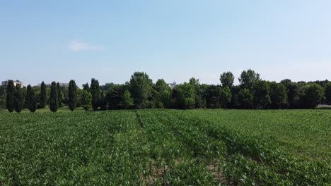 drone elevando desde el campo al paisaje urbano de milán