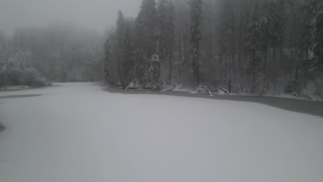 Paisaje-Brumoso-De-Un-Lago-Congelado-En-El-Centro-De-Un-Vasto-Bosque-En-Un-Sombrío-Día-De-Invierno---Plano-Medio-En-Movimiento