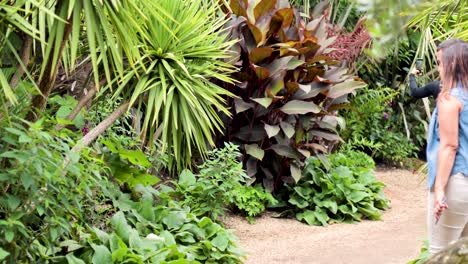 people walking through lush garden path