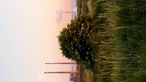 paisaje urbano de la hora dorada: las torres de poolbeg y la instalación de residuos a energía de dublin en medio de cielos despejados | vídeo vertical de paisaje urbano sostenible