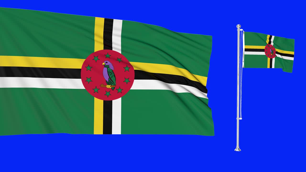 초록색 스크린은 도미니카의 2개의 발이 바람에 흔들리는 초현실적인 루프입니다. 도미니칸 발 기둥은 매우 상세한 직물 텍스처 애니메이션 4k 3d 크로마 키와 함께 날아갑니다.