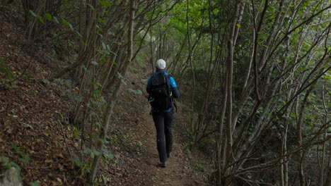 Rear-view-man-with-backpack-walks-on-peaceful-nature-trail-through-young-trees