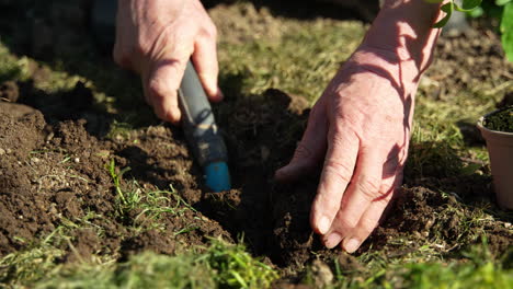 cavando el suelo para plantar verduras.