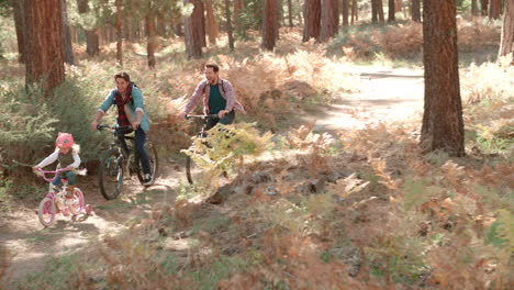 Male-couple-and-daughter-in-a-forest-cycle-past-out-of-shot