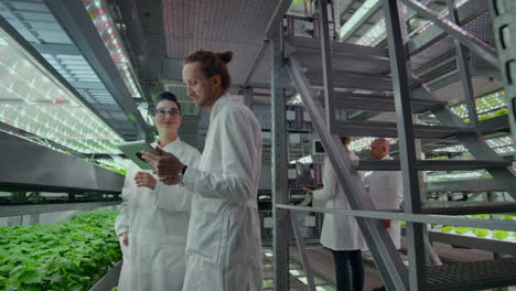 genetic engineering. doctors in white coats look and adjust the work of the vertical farm checking the plants and looking into the screens of tablets