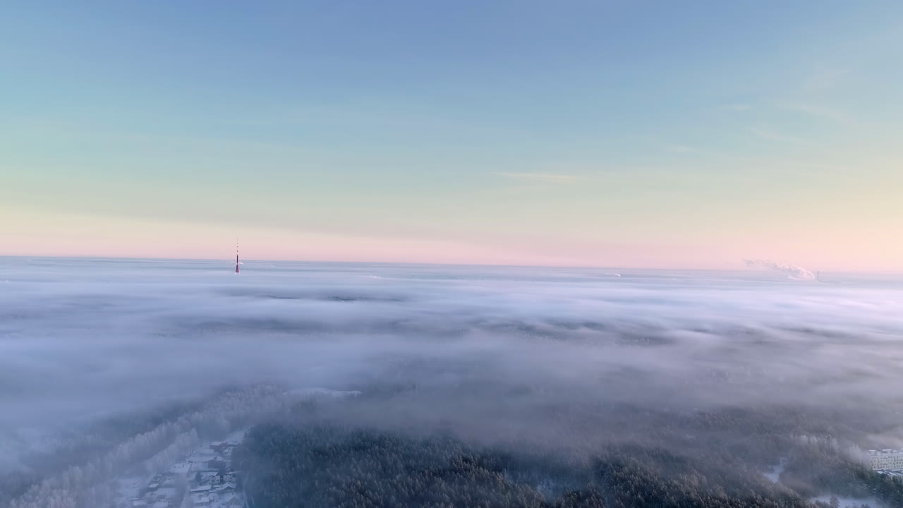 아침 햇빛 아래 멀리 있는 tv 타워의 전망과 함께 숲을 덮고 있는 안개 위로 아름다운 공중 후진 움직임이 촬영되었습니다.