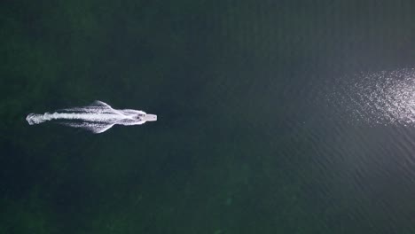 tiny boat big sea topview aerial drone shot above ocean, fishing boat in perfect sea, making beautiful symmetric waves, sun reflection in surface, upward movement, vertical shot and horizontal