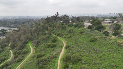 vuelo de avión no tripulado a través del parque elysian en los ángeles, vistas de senderos de senderismo