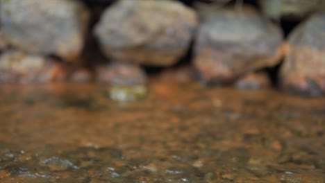 disparo estático fuera de foco de una pequeña corriente cristalina que fluye a lo largo