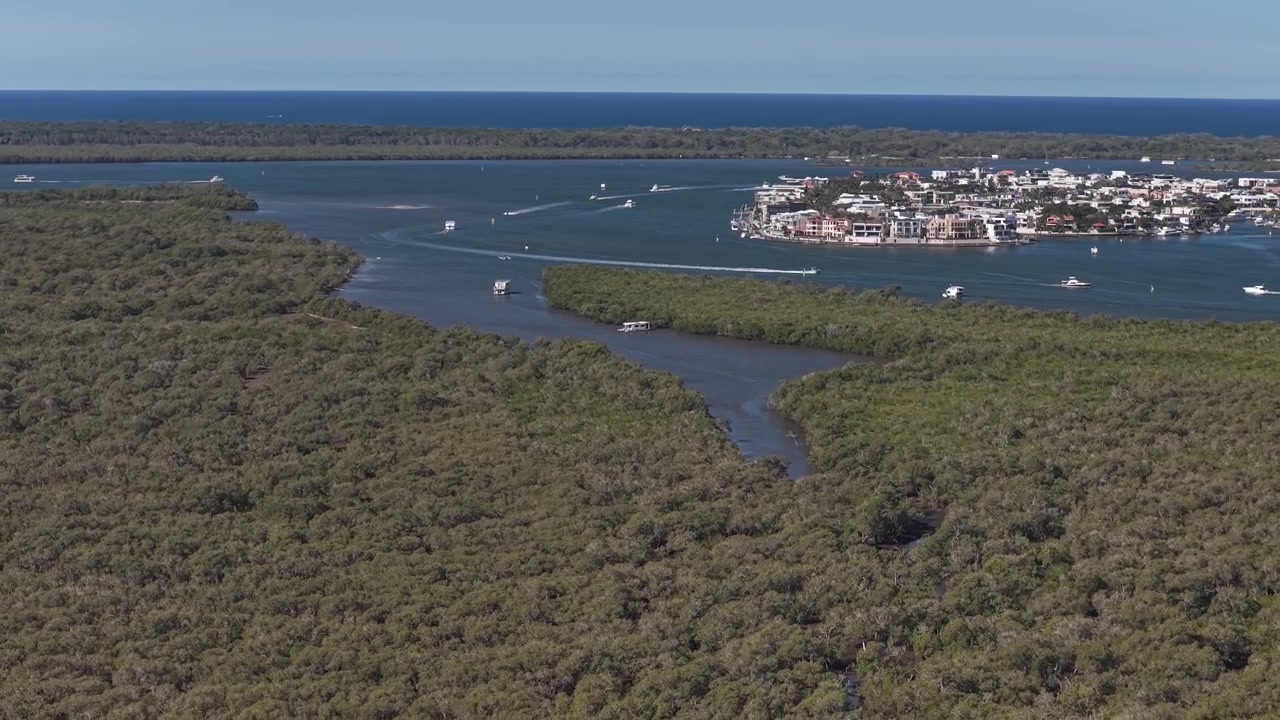 Mangrovie dell'Isola di Coomera con la tenuta di Ephraim Island nella Gold Coast, Queensland, Australia - ripresa aerea