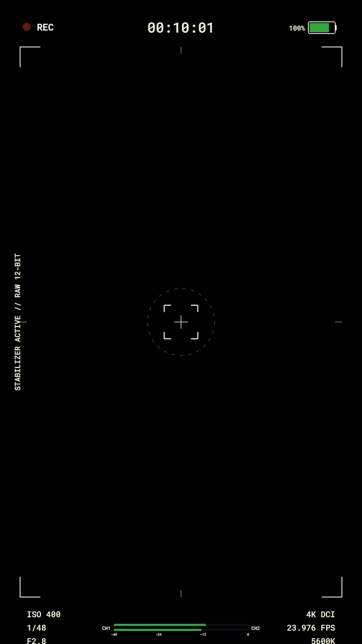 Digital Camera Viewfinder Interface Overlay
