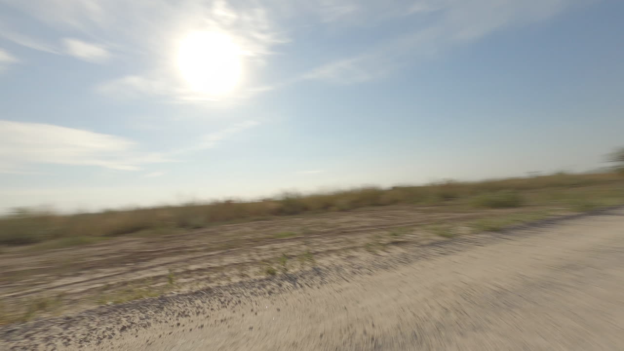Workers Inspecting Wind Farm