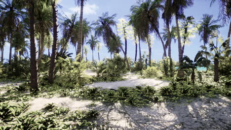 View-of-nice-tropical-beach-with-palms-around