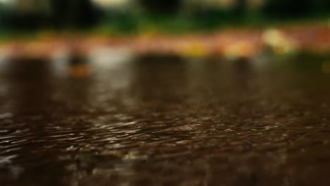 a puddle with water