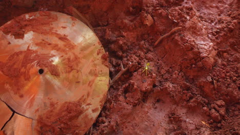 insecto mantis religiosa verde en el barro después del desastre ambiental en mariana brasil, con placa de tambores en escena