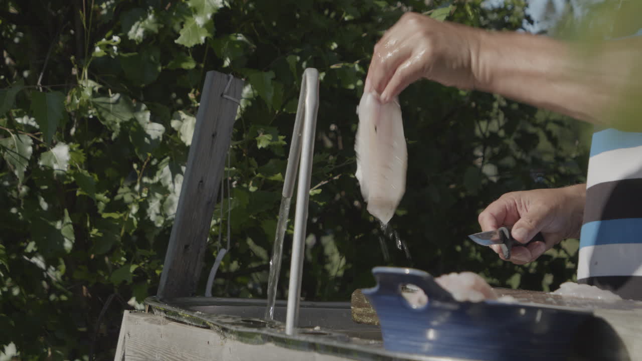 선임 어부가 화창한 여름날 야외 정원에서 농어를 헹구고 있습니다.