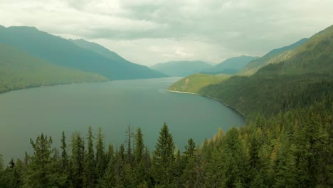 slow aerial dolly through a dense forest revealing the stunning slocan lake