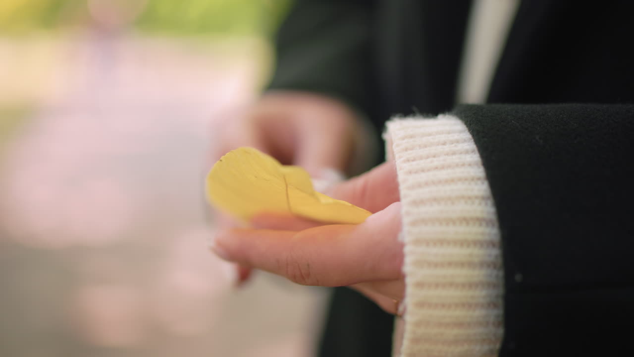 Hand view of contemplative girl in winter coat holding yellow leaf, turning both sides, soft bokeh background, gentle touch, calm autumn mood, focus on manicure and texture under mild daylight