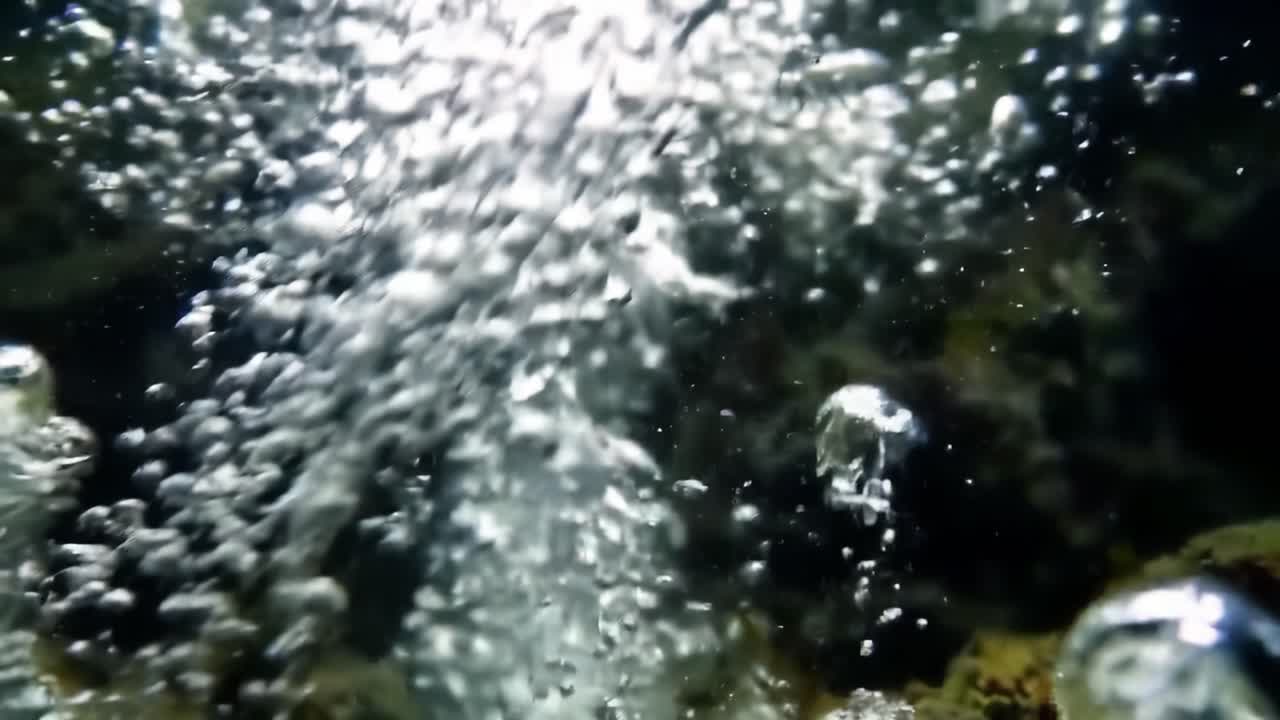Bubbles Rising in Clear Water at a Serene Underwater Location