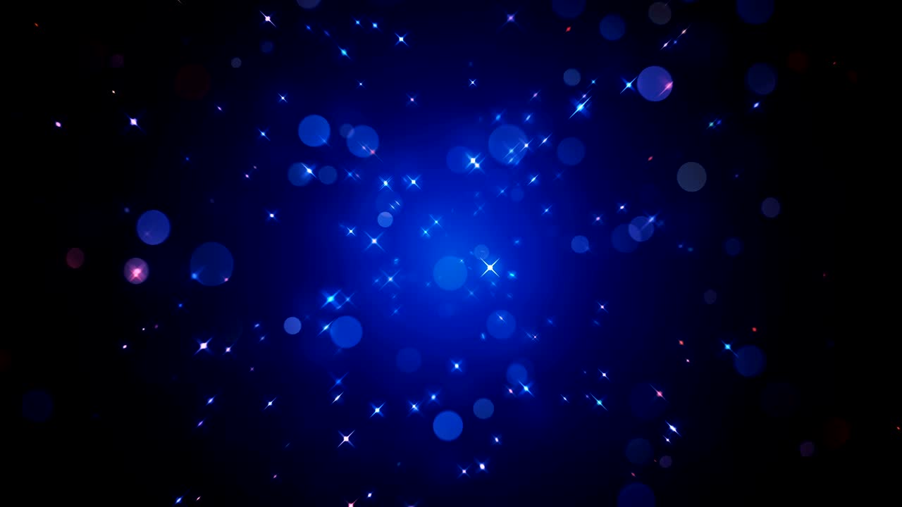 반이는 밤의 반임