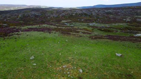 beautiful sprawling grassy hillside with exposed rocks of arroyo de los toriles spain