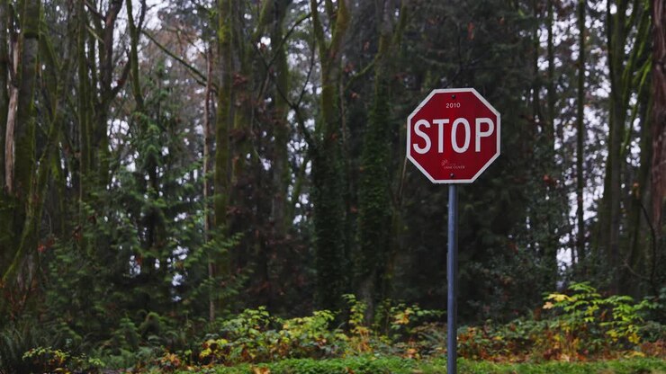 Segnale stradale di stop rosso nella foresta