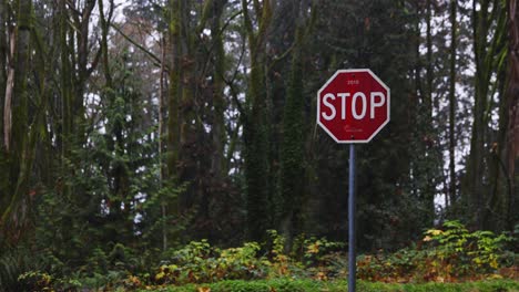 Red-stop-road-sign-in-the-forest