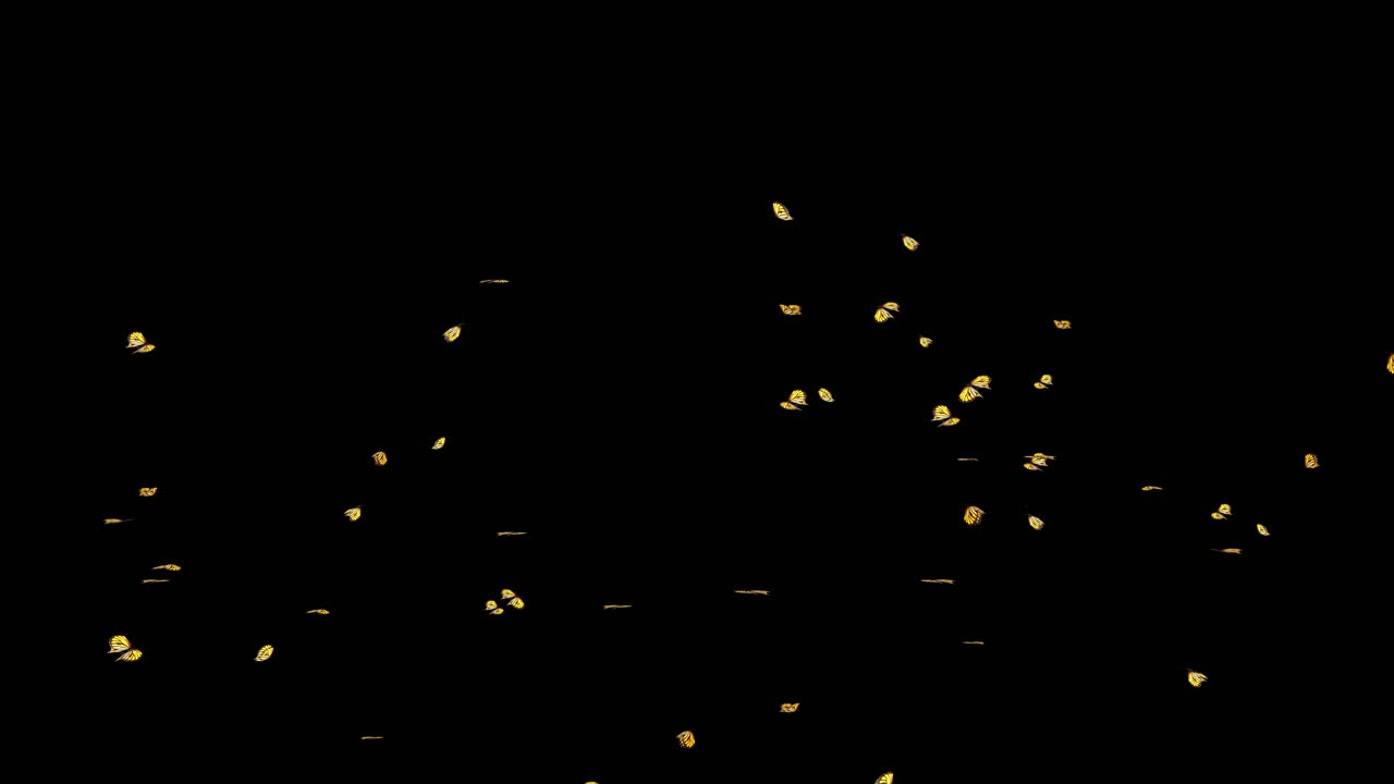 4k loop animation background of flying butterfly on the blue screen the concept of animal wildlife