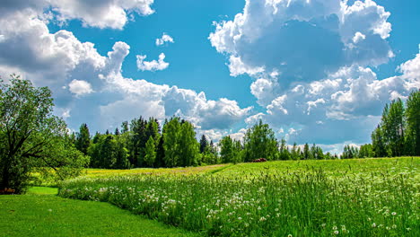 Tiro-De-Lapso-De-Tiempo-De-Nubes-Blancas-En-Movimiento-En-El-Cielo-Azul-Sobre-El-Campo-De-Hierba-Verde-Con-Flores-Y-Plantas-Durante-La-Primavera