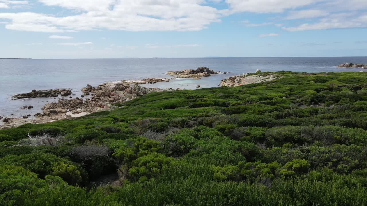 Drohnen-Luftaufnahme über felsiger Strandbucht Bay of Fires Tasmanien blaues Wasser Sommer ZEITLUPE 60FPS