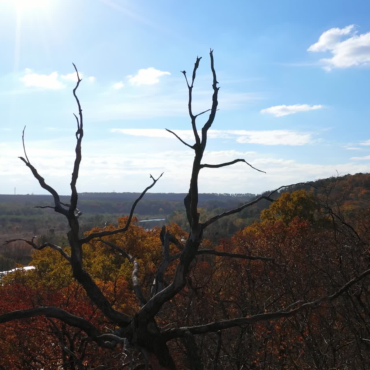Motion camera view of the forest on the background of a quiet river at sunset in the summer. Aerial view