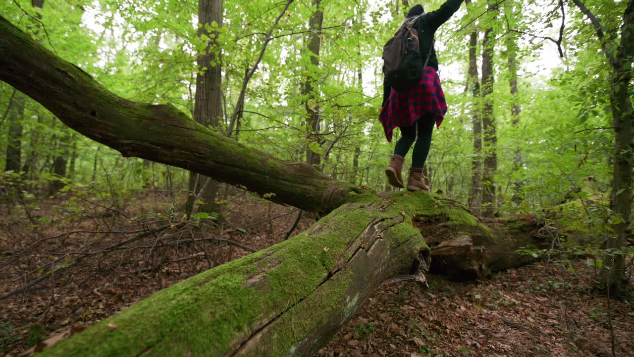 A hiker with a backpack carefully balances while walking on a large moss-covered fallen tree in a lush green forest. The scene captures a sense of adventure, exploration, and connection with nature