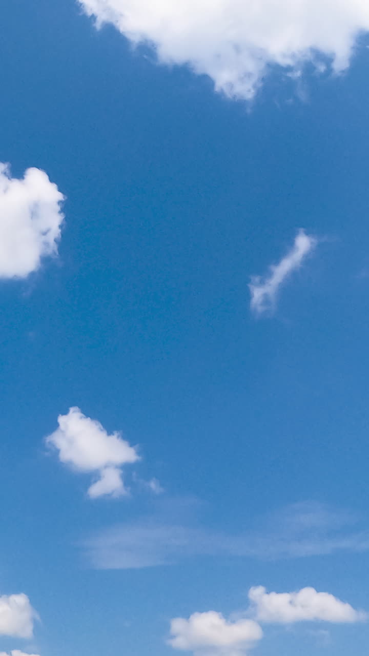 A few little white soft clouds in the sky change into bigger ones. Summer sky from low angle perspective. Timelapse. Vertical video