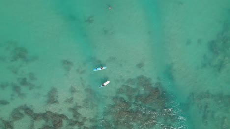 Arriba-De-Dos-Surfistas-Sentados-En-Aguas-Turquesas-Hawaianas-Sobre-Arrecifes.