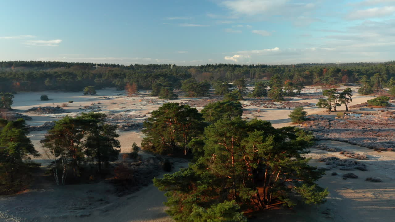 природный пейзаж в голландском городе состердуинен осенью - съемка с беспилотного летательного аппарата