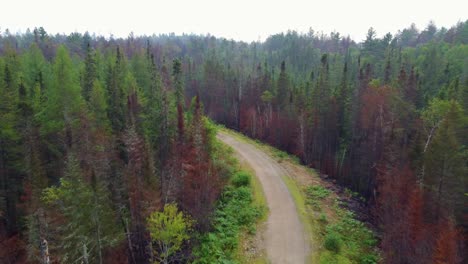 Deslizamiento-Aéreo-A-Través-De-Bosques-Dañados-Por-El-Fuego-En-Massey,-Ontario,-Canadá