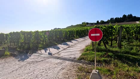 scenic vineyard road with no entry sign