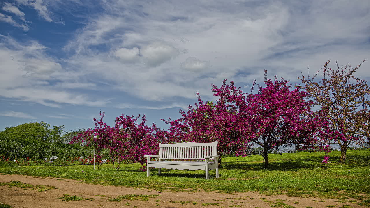 멋진 꿈의 위치