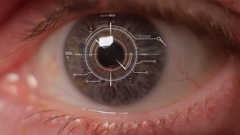 biometric recognition, futuristic iris scan concept, eye tracker - 3d animation