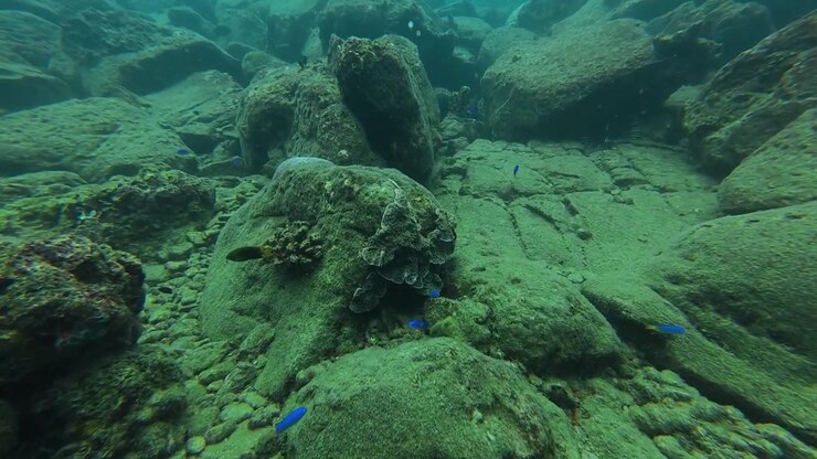 Horisontale undervandsoptagelser, der bevæger sig fremad hen over et klipperev med tropiske fisk under et dyk omkring Koh Raet-øen, Koh Kood, Thailand