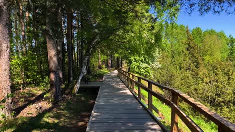 a wooden walkway in a wood covered park area surrounded by tall trees on a sunny summer day