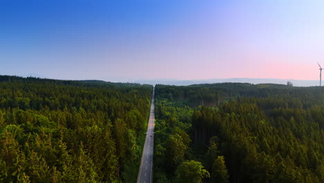 long straight road crosses the beautiful pine tree woods. few cars go by the highway in the wilderness. aerial perspective