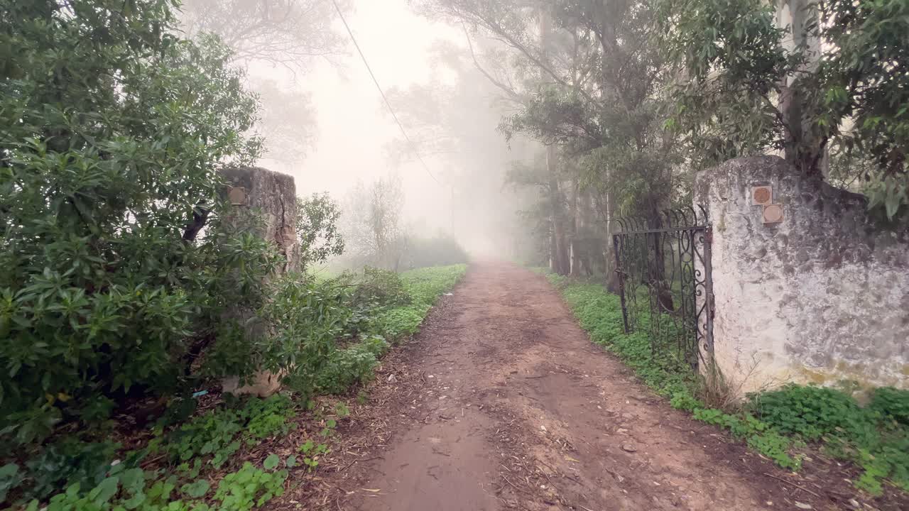 안개와 안개로 가득 찬 길을 걸어 나무들을 지나서 교외 생활 방식의 본질을 포착합니다.