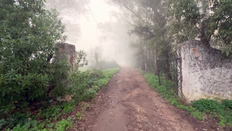 Walking-along-a-misty,-fog-filled-path,-passing-trees,-capturing-the-essence-of-a-suburban-lifestyle