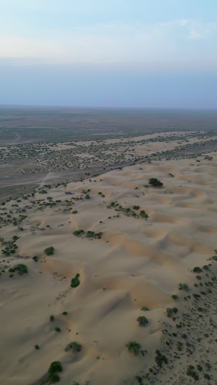 A stunning aerial top view of endless golden sand dunes in Jaisalmer, Rajasthan, dotted with patches of green vegetation under clear skies India 4K