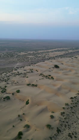 una impresionante vista aérea de las interminables dunas de arena dorada en jaisalmer, rajasthan, salpicadas de manchas de vegetación verde bajo cielos despejados.
