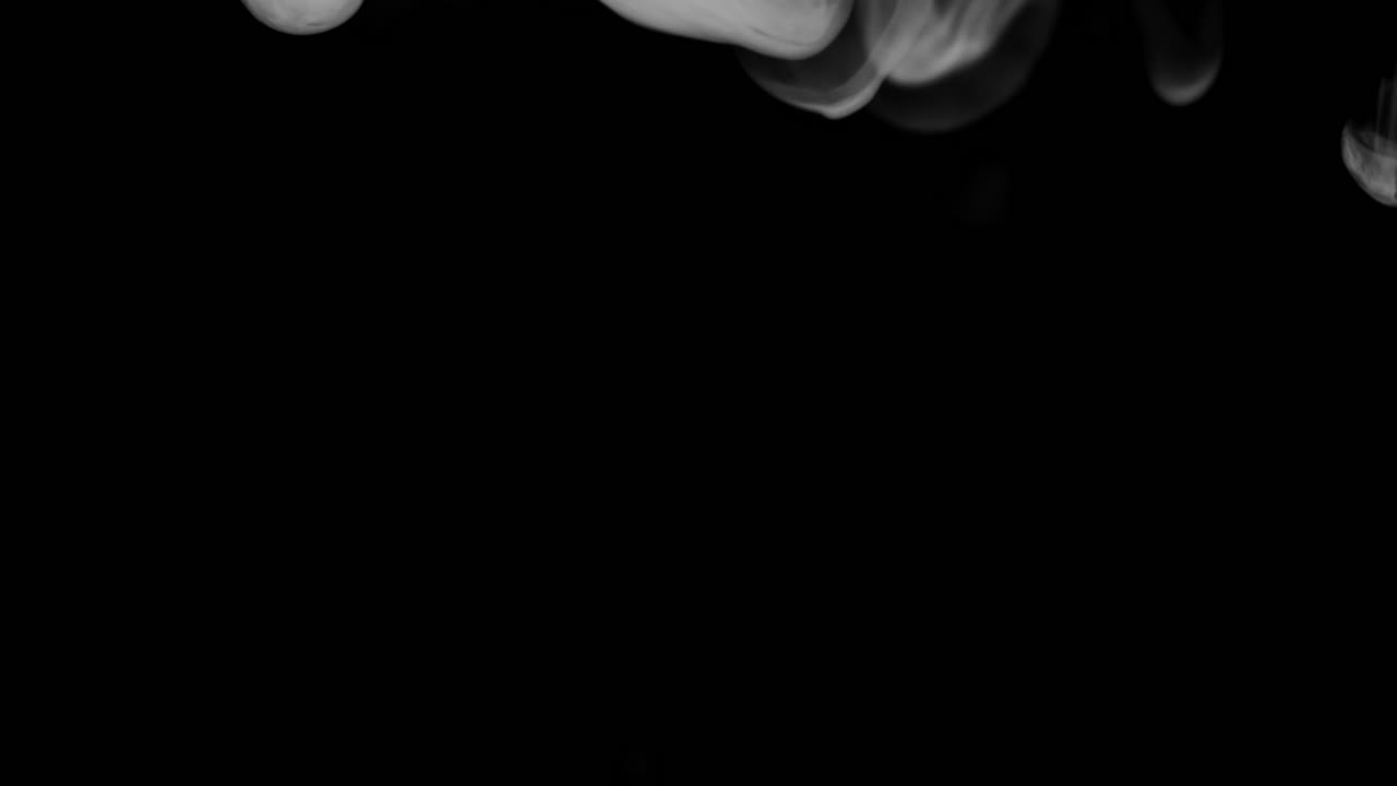 안개의 몇 개의 구름이 모든 것이 우유 같은 안개로 떨어질 때까지 프레임을 점점 더 채우기 시작합니다.