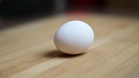 chicken egg spin slow motion