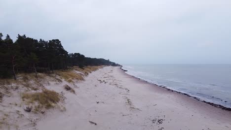 Aerial-view-of-Baltic-sea-coastline-at-Bernati-beach-in-Latvia,-flying-over-tight-coastal-pines-and-the-white-sand-beach,-sea-erosion-affected-coastline,-ascending-wide-angle-dolly-drone-shot-left