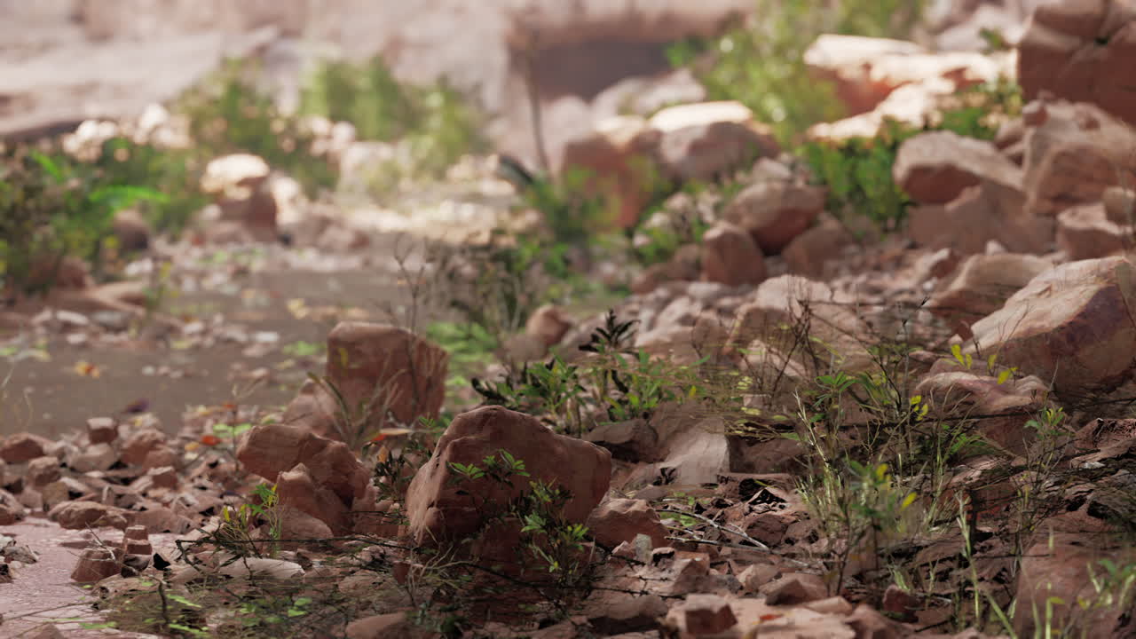 동굴에서 빛으로의 전망